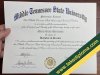 Middle Tennessee State University degree.jpg